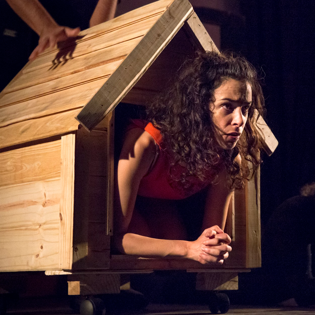 La_fragilidad_de_las_casas_(5)