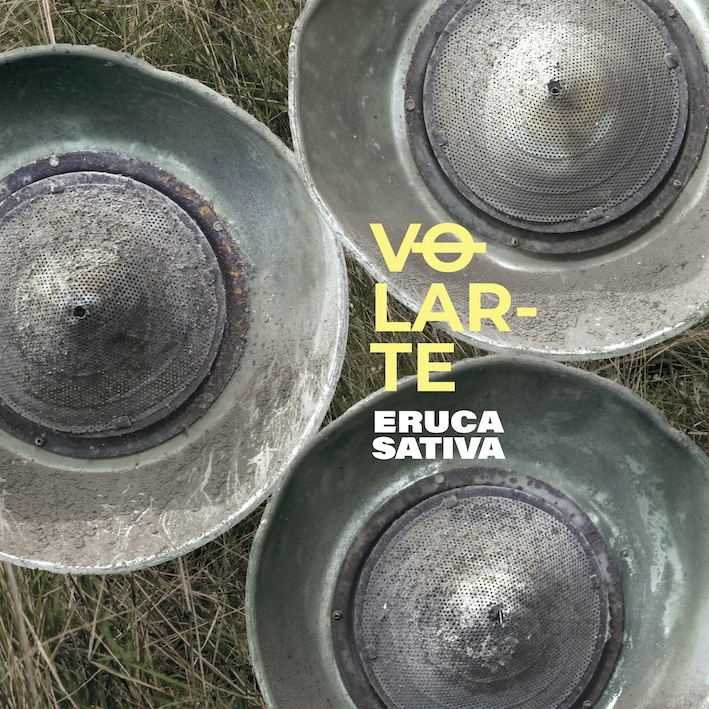 ERUCA_SATIVA_Volarte_3000x3000