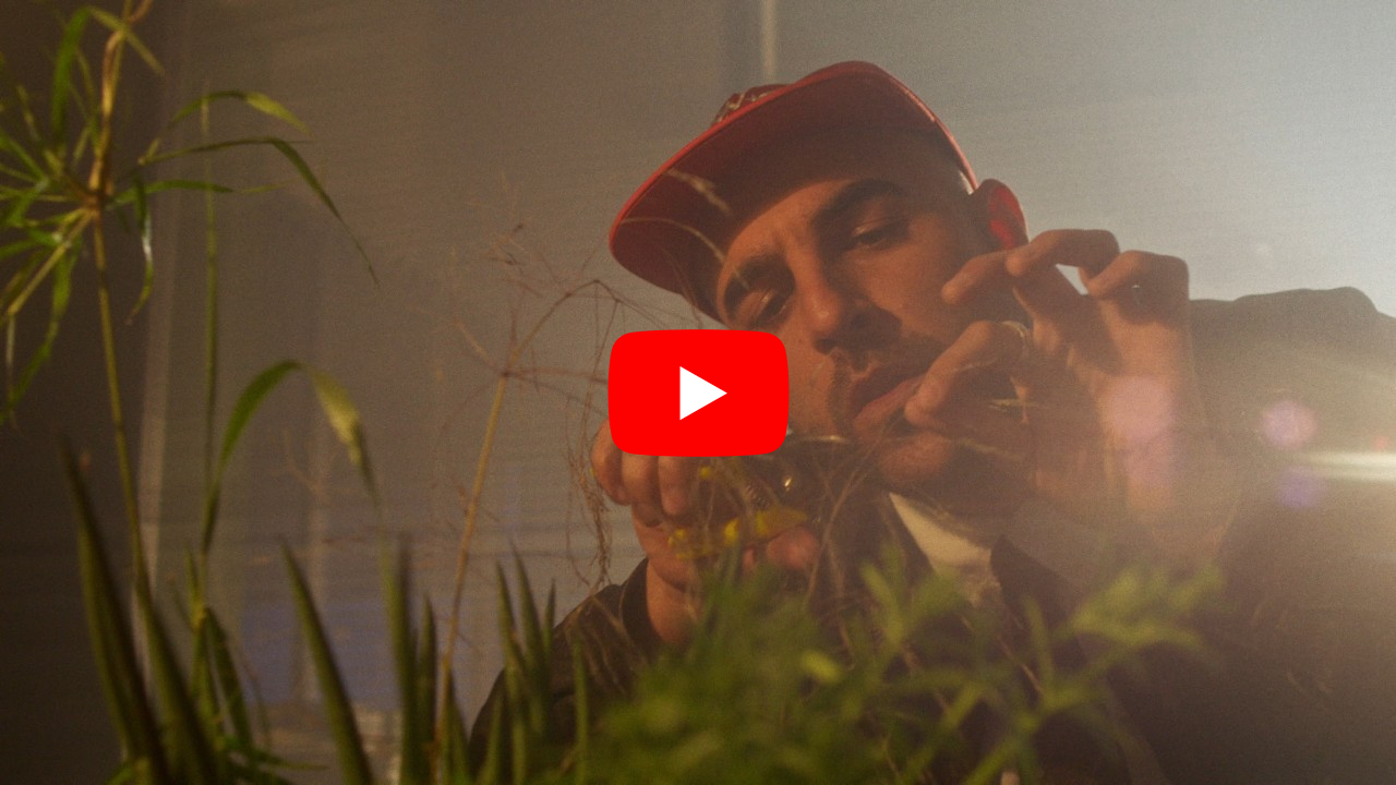 Video Video