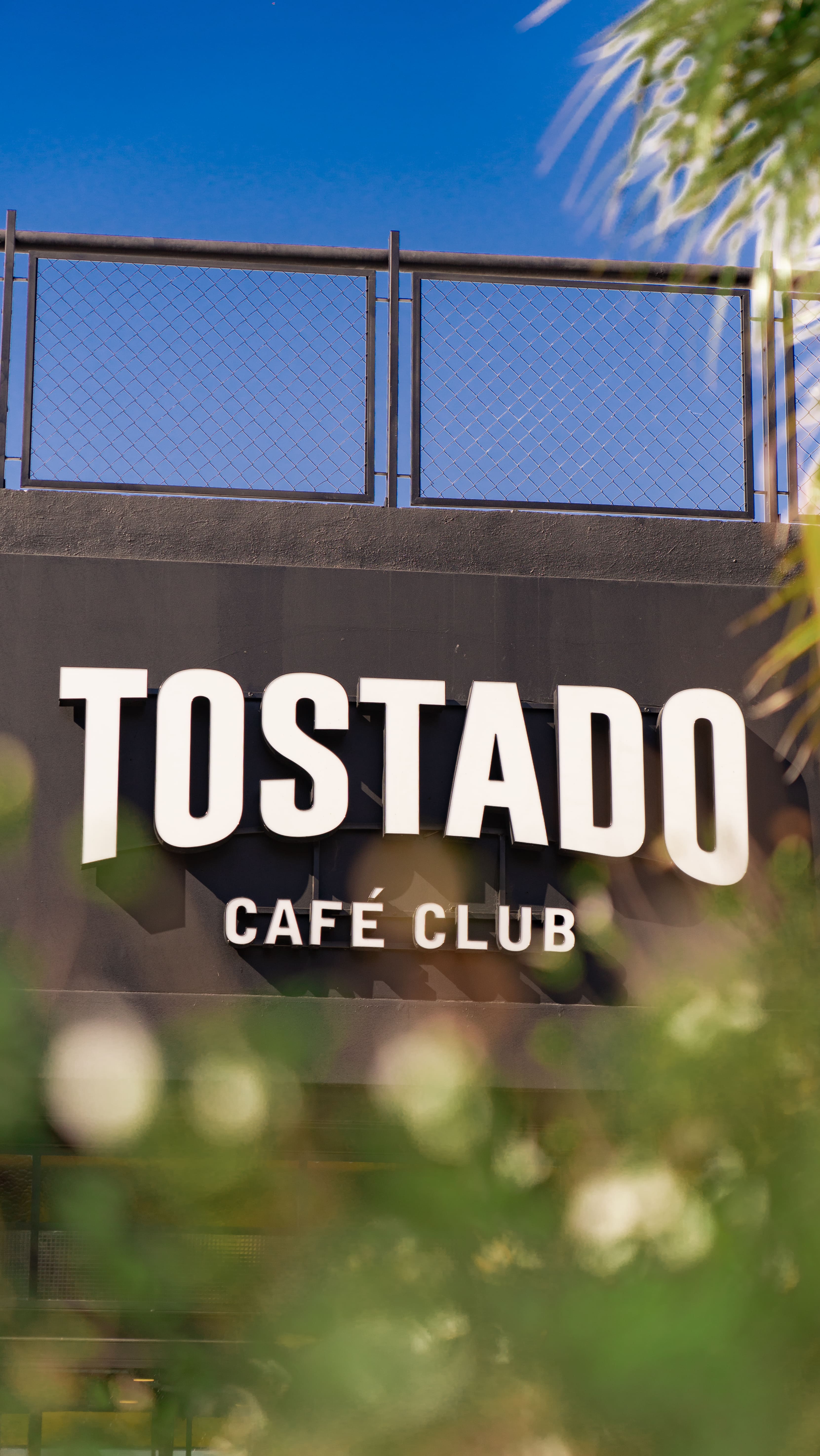 Terraza Tostado