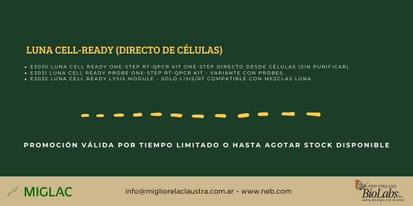 Footer_Promo_-50_Agosto