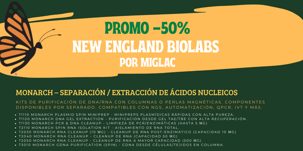 Header_Promo_-50_Agosto